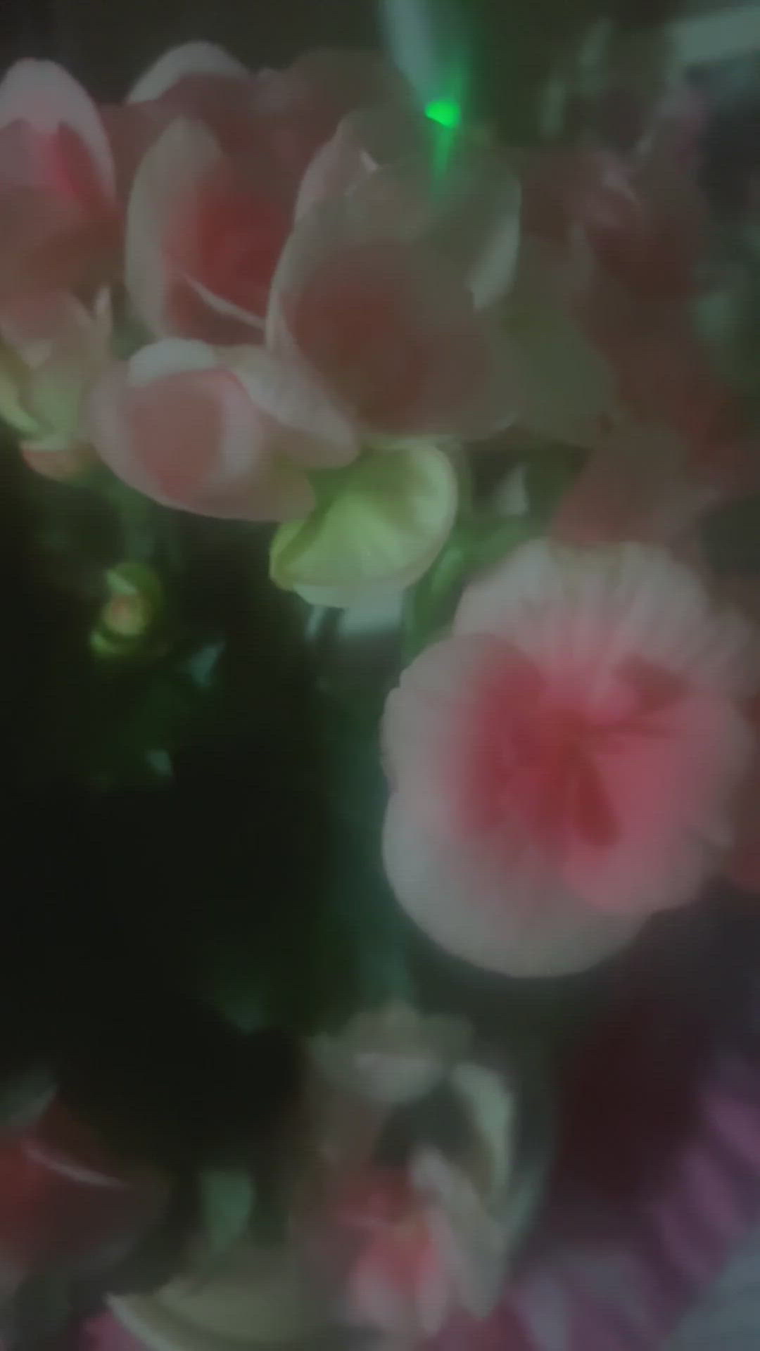 花のある暮らし