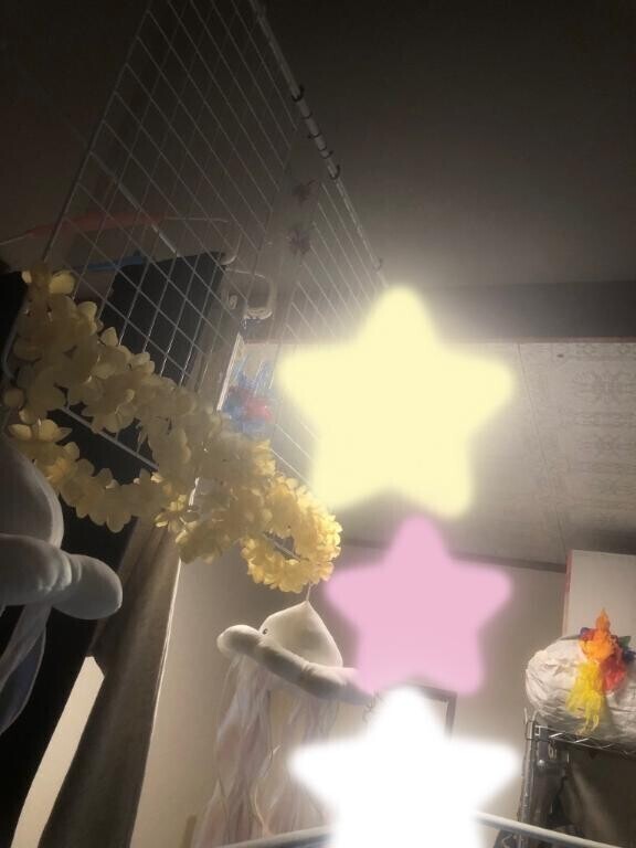 おはよう(*^o^*)♡