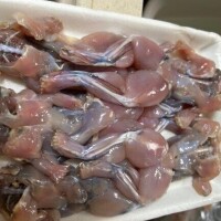 貴方に食べたいです