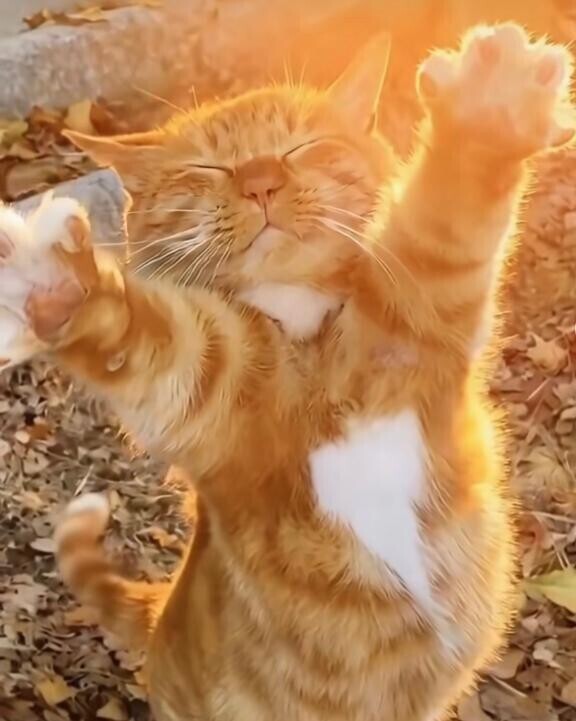 [お題]from:つむつむさん