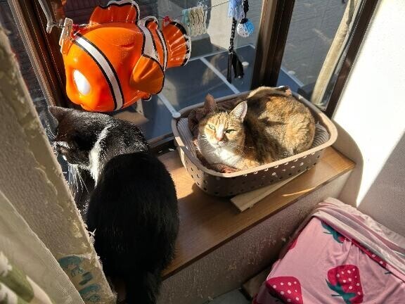 ひなたぼっこ♪♪