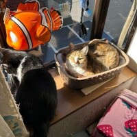 ひなたぼっこ♪♪