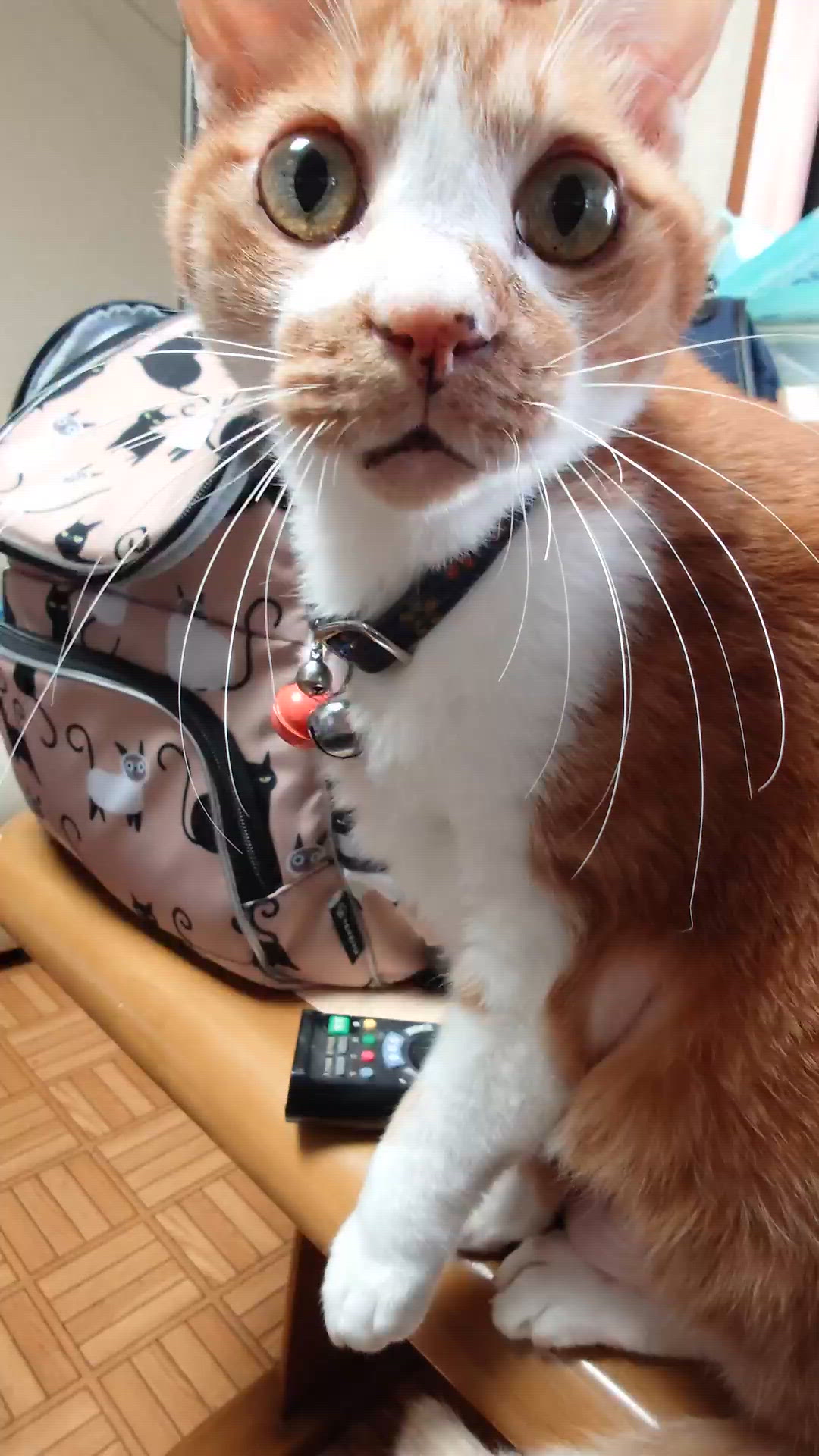 ごはーーーん！