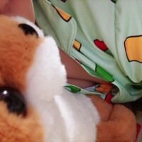 (*˘︶˘*)ｵﾔｽﾐﾅｻｲ~..♡♡