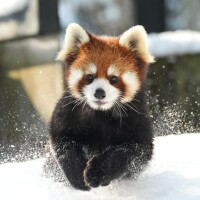 今日限定𓆩𓆪