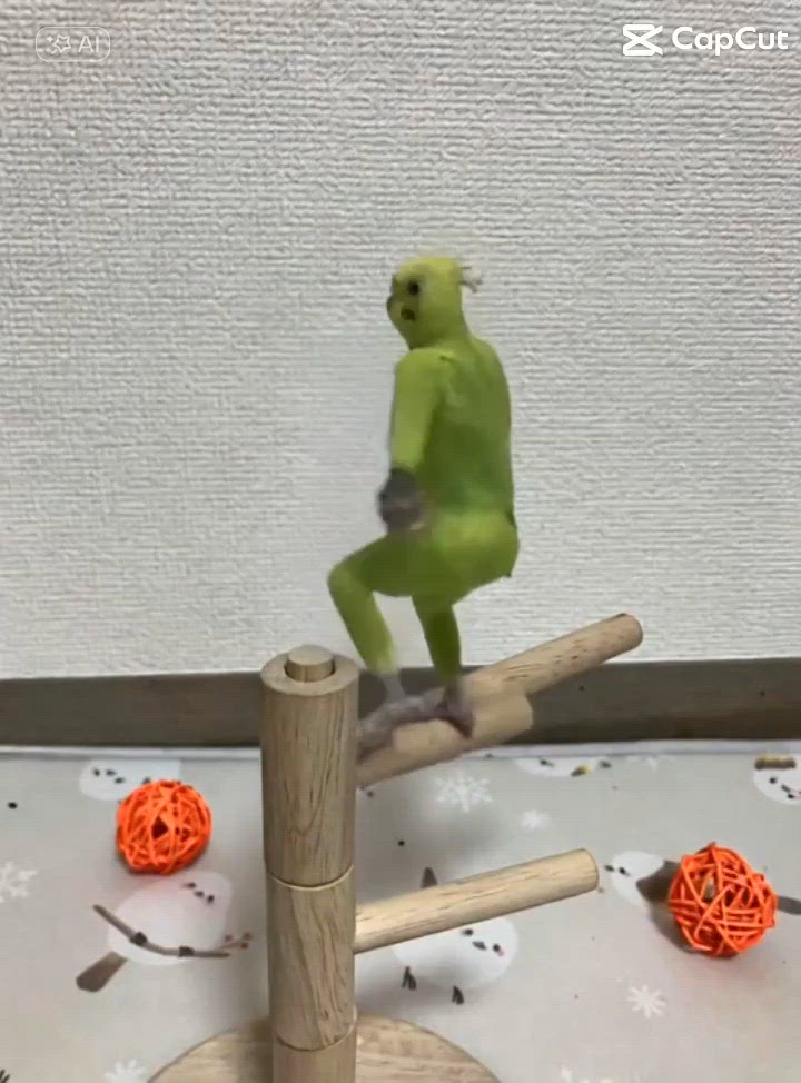 音量最大でよろしく哀愁！