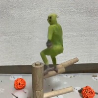 音量最大でよろしく哀愁！