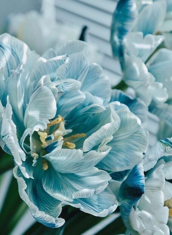 補充してたよ〜(*^^*)♡