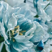 補充してたよ〜(*^^*)♡