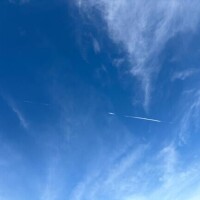 今日も良いお天気だわ♡