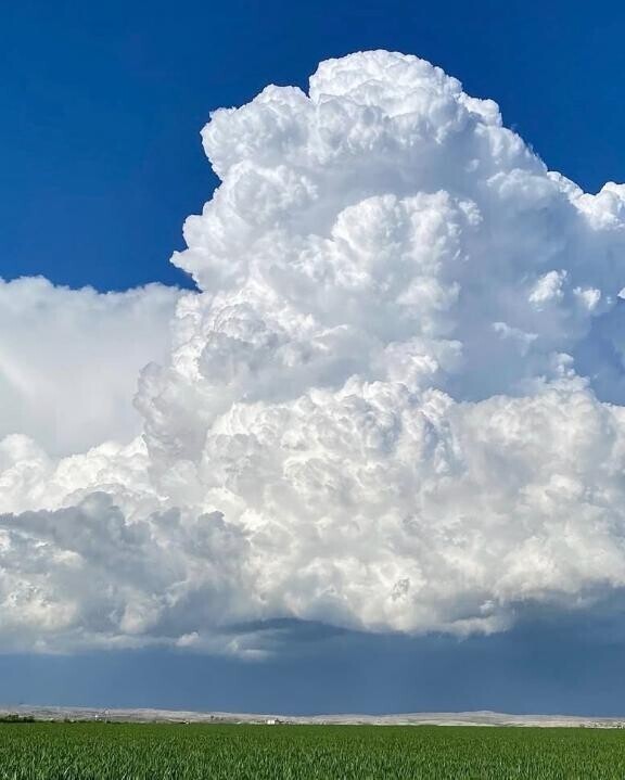 これもきれいな光景