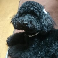 風邪かと思ったら