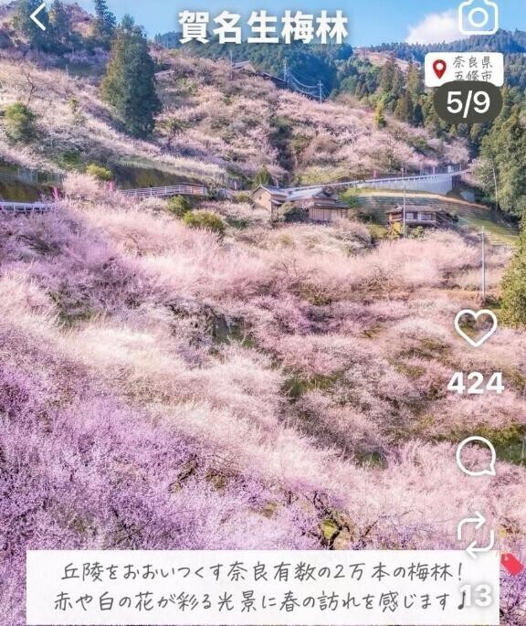 バレンタインデーのチョコ