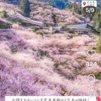 バレンタインデーのチョコ