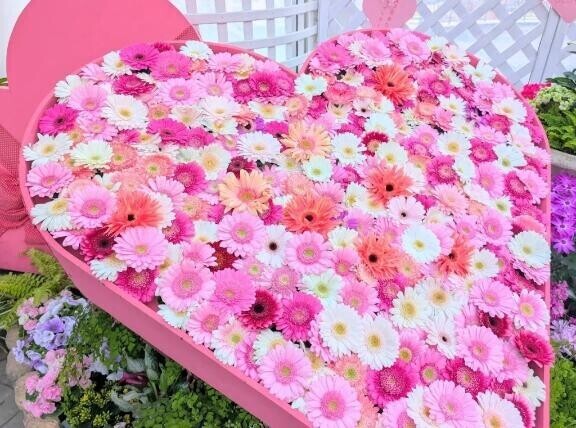 おはようございます♡