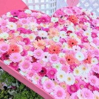 おはようございます♡