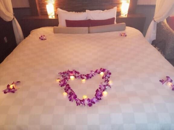 昨夜のお礼です