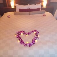 昨夜のお礼です