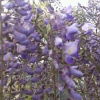 今日も1日がんばって