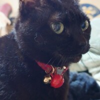 明日は出勤しますよっ(о´∀`о)