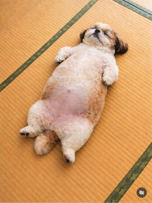 [お題]from:かっぱさん