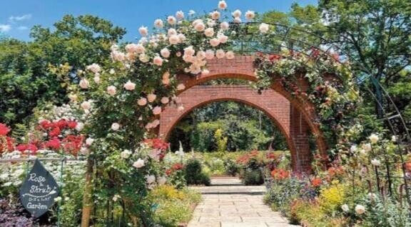 おはようございます(*^o^*)