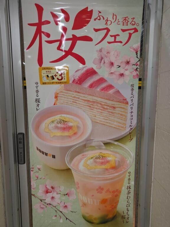 桜始まった！！