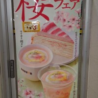 桜始まった！！