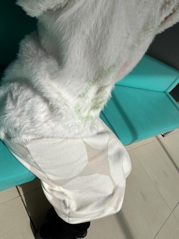 よかったら、今度