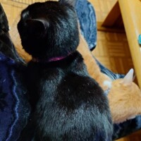 満員です、ポカポカですわ♡