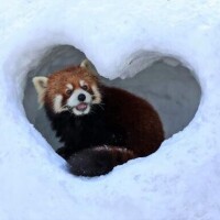 日記ネタ[お題]from:ナツメロばっかさん✎*