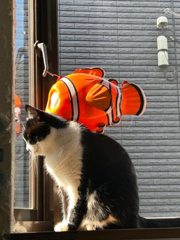 日向ぼっこちゅ♡