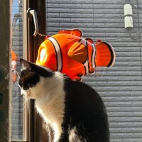 日向ぼっこちゅ♡