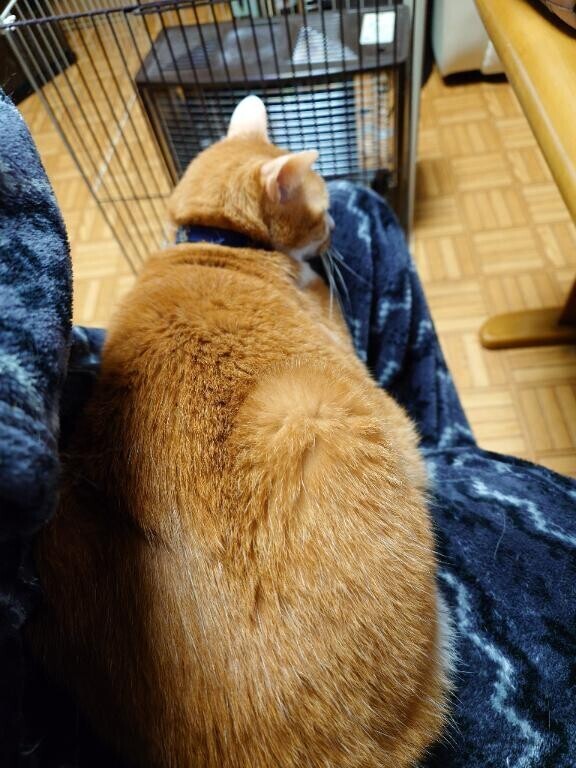 おはようございます(*^^*)