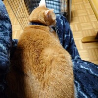 おはようございます(*^^*)