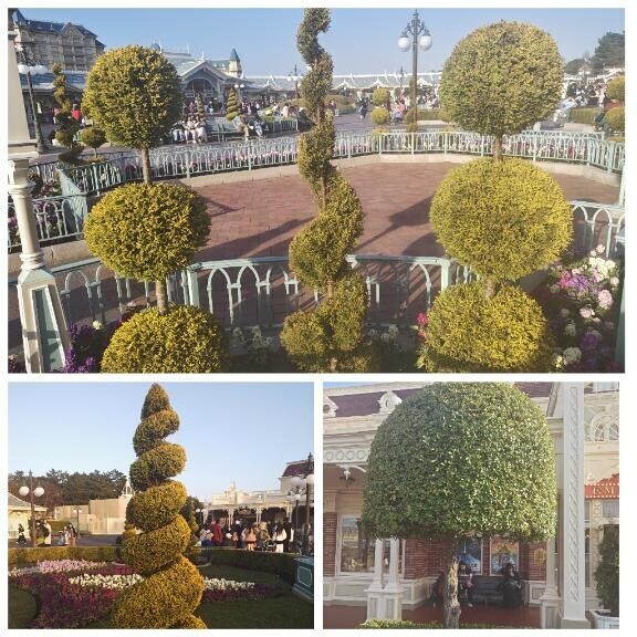 植栽面白いよねー(*^^*)