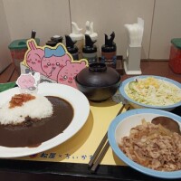カレー生活………