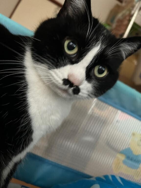 お布団入って、のんびりまったり♡