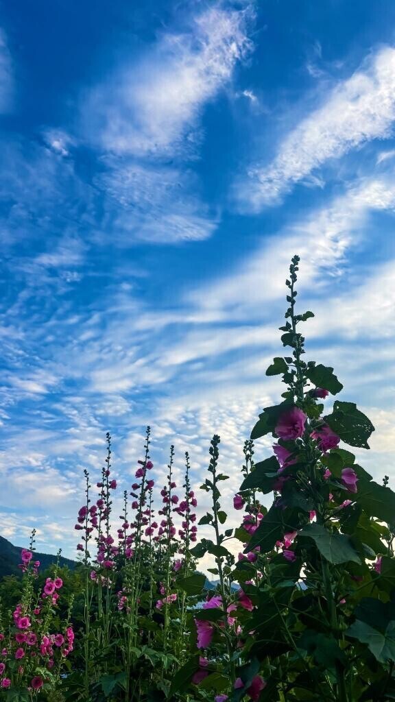 [お題]from:二択だよ♪さん