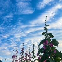 [お題]from:二択だよ♪さん