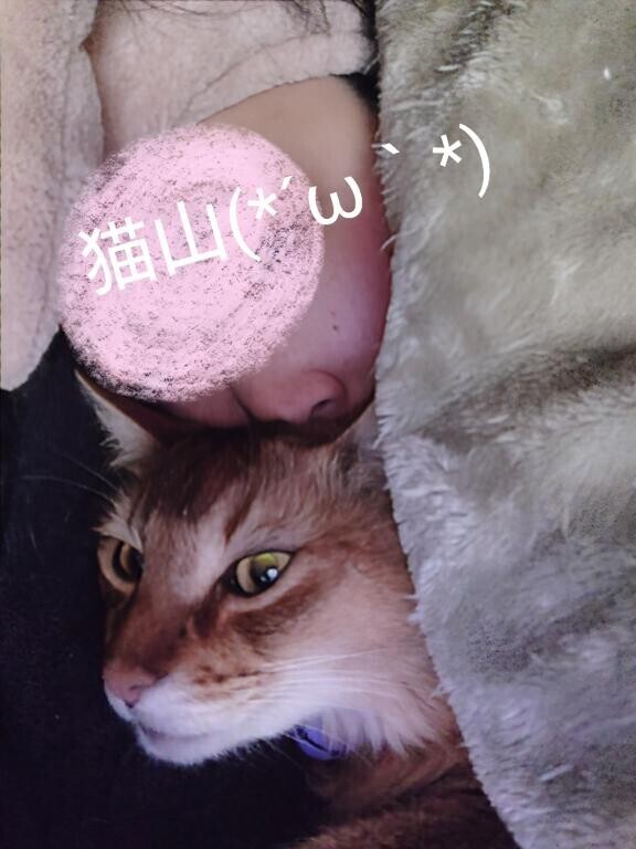 筋トレを心に違う……