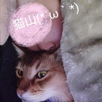 筋トレを心に違う……