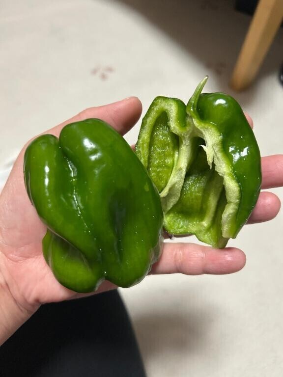 美味し(*´﹃｀*)