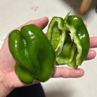 美味し(*´﹃｀*)