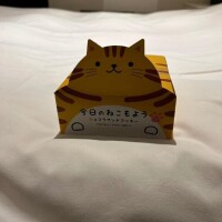 今日のお礼日勤