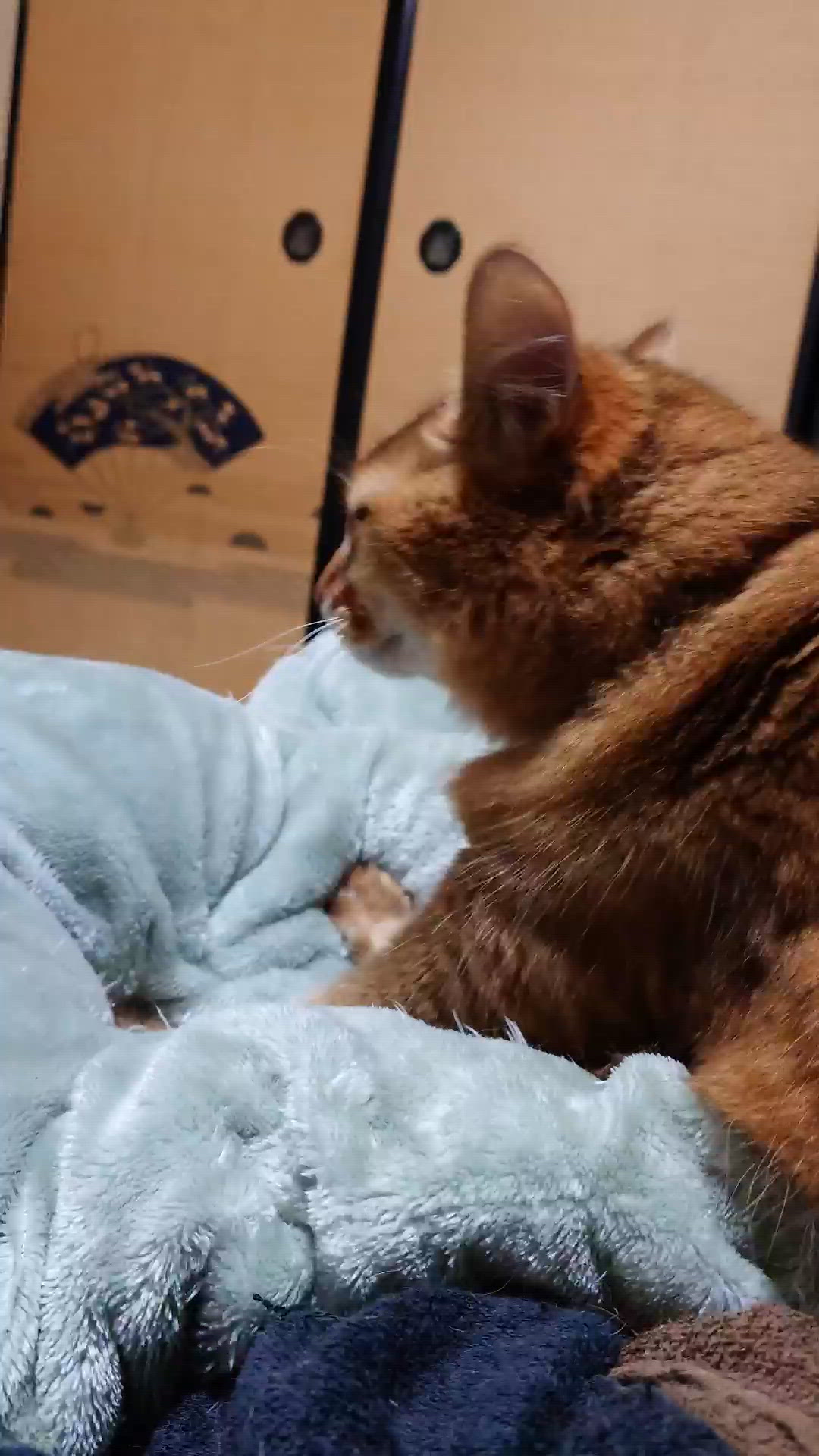 フミフミ、パン職人(*´ω｀*)