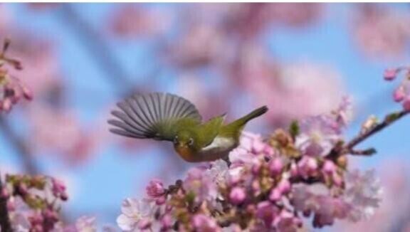 出勤予定出したよ〜♪♪