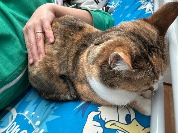 久しぶりに、ゆっくりしてる♪♪