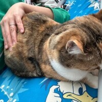 久しぶりに、ゆっくりしてる♪♪