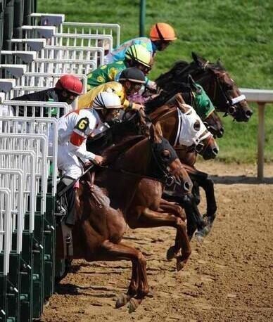 [お題]from:二人で競馬場行きたいさん